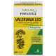 Valerian Leo Angelini, 50 tablets