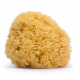 Suavinex Big Natural Sponge