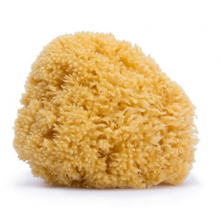 Suavinex Big Natural Sponge