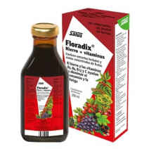 Floradix Iron + Vitamins 250ml