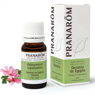 Pranarom Geranio Essential Oil of Egypt 10ml