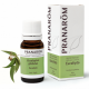 Pranarom Essential oil Eucalyptus 10 ml, Eucalyptus Globulus BIO