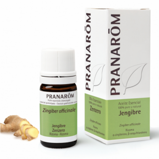 Pranarom Ginger Essential Oil 5 ml, Zinziber officinale BIO