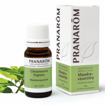 Pranarom Mandravasarotra Essential Oil 10 ml, Cinnamosma fragans BIO