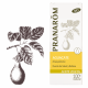 Pranarom Vegetal oil Aguacate 50ml Bio