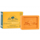 DR. TREE CHAMPU SOLIDO 2 EN 1 REVITALIZANTE 1 PASTILLA 75 G